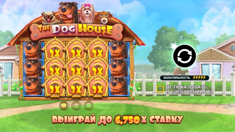 Обзор слоты The Dog House