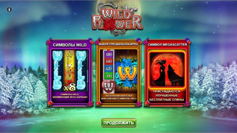 Обзор слота Wild Flower