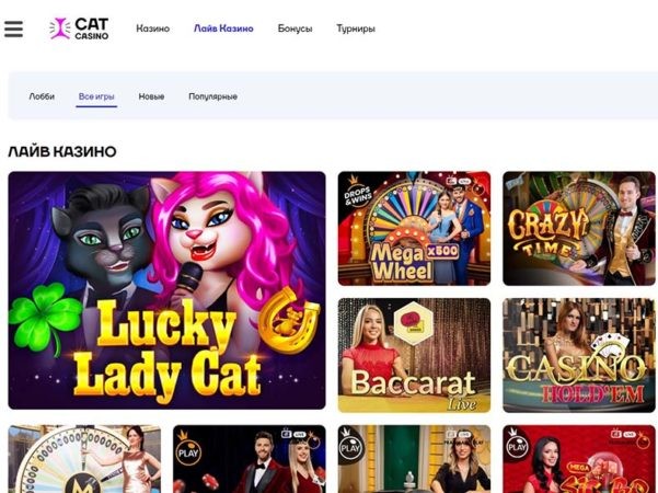 лайв дилеры в cat casino
