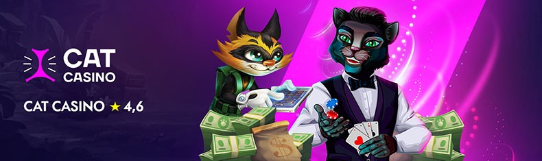 Обзор казино Cat Casino