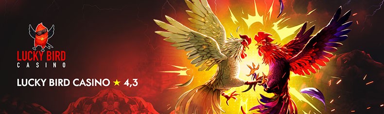 Обзор казино Lucky Bird