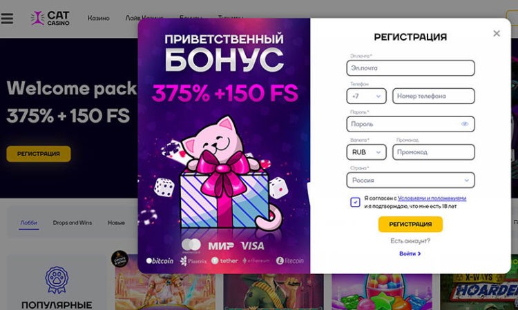 регистрация в cat casino