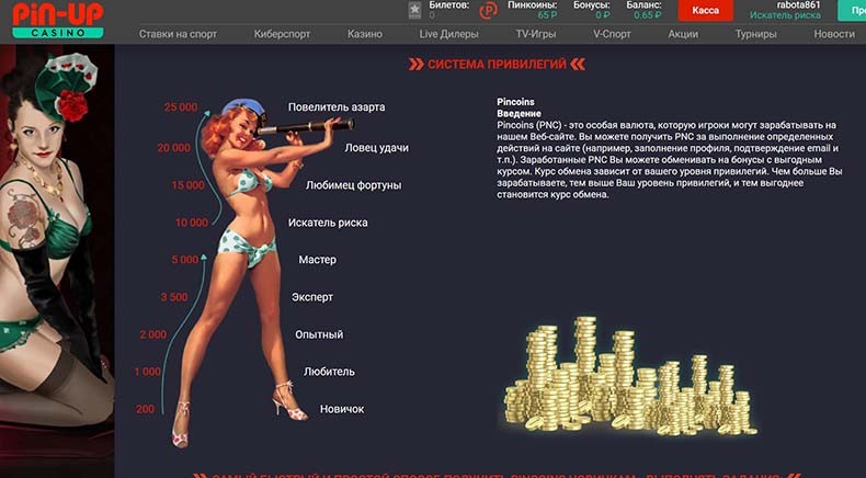 система лояльности в казино