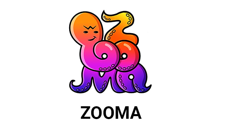 Обзор казино Zooma