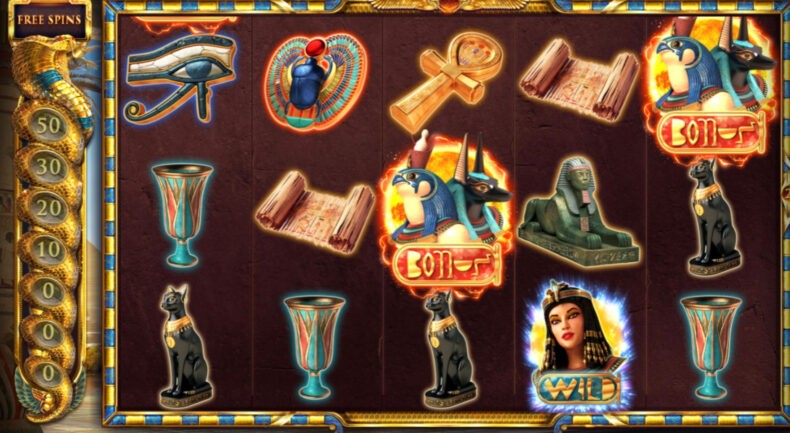 Cleocatra внешний вид