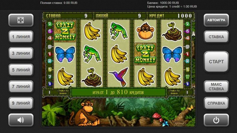Дизайн слота Crazy Monkey 2